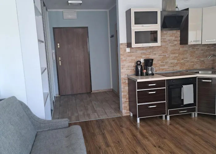 Oskar 公寓 斯维诺乌伊希切