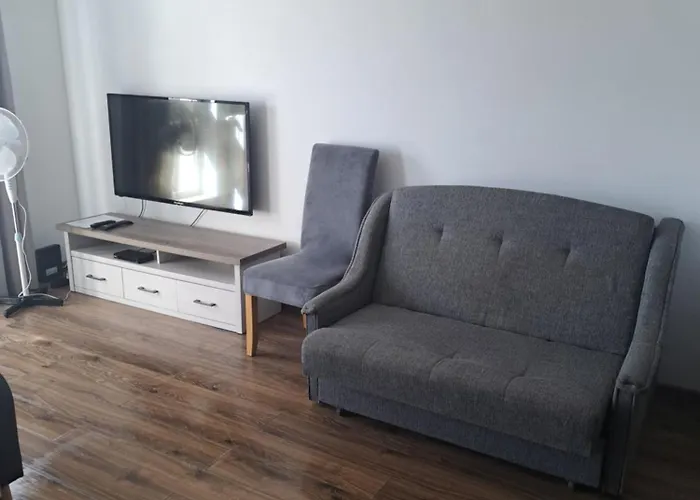 公寓 Oskar 斯维诺乌伊希切