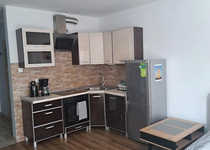 Oskar 公寓 斯维诺乌伊希切