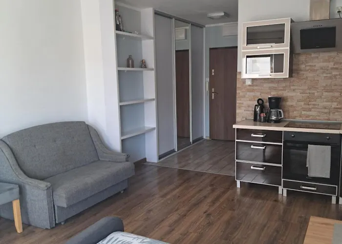 公寓 Oskar 斯维诺乌伊希切